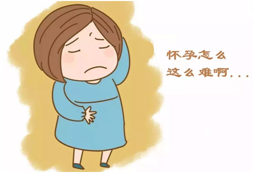 甲状腺功能是啥？做试管婴儿为什么要查甲状腺？