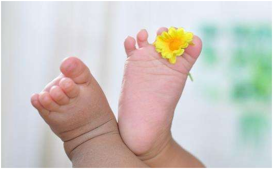 FSH值高怎么办？可以做试管婴儿吗？