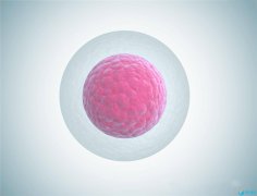 排卵异常可以试管婴儿助孕吗？